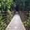 Puentes Colgantes en Arenal