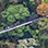 Puentes Colgantes en Arenal + Aguas Termales (Opcional)