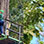 Recorrido en Teleférico por el Bosque Lluvioso de Jacó