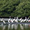 Safari Flotante por los Manglares de Tamarindo