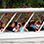 Safari Flotante por los Manglares de Tamarindo