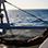 Velero Catamarán VIP en Tamarindo