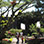 Volcán Irazú, Valle Orosi & Jardines Lankester