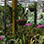 Volcán Irazú, Valle Orosi & Jardines Lankester