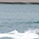 Wakeboarding & Water Skiing