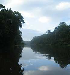 2 Días de Expedición en Tortuguero Costa Rica