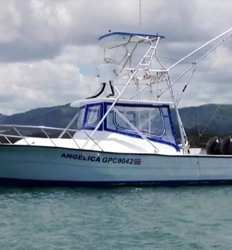 Angelica I 25 ft Pursuit 4 Passengers