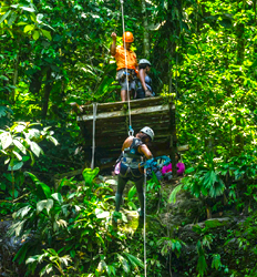 Aventura Caribeña en la Selva en Puerto Viejo