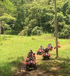 Medio Día en el Bosque Lluvioso & Excursión Todo Terreno en Costa Rica