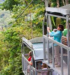 Bosque Pluvial Veragua: Teleférico, Parque + La Tirolesa Original