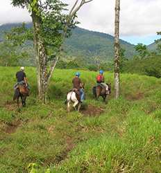 Volcán Arenal Paseo en Caballo & Visita a las Cascadas La Fortuna