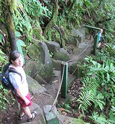 Caminata Guiada hacia la Cascada La Fortuna