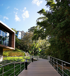 Caminata Natural en el Corazón de la Ciudad de San José