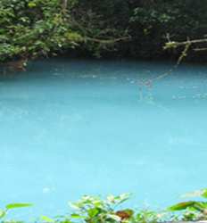 Caminata al Río Celeste