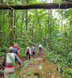 Caminata de Manzanillo a Punta Mona + Regreso en Barco