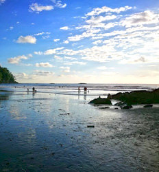 Caminata por el Parque Nacional Marino Ballena