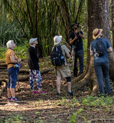 Caminata por la Reserva Biológica de Sámara