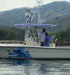 Circle Hooker 29 ft Pursuit 4 Passengers