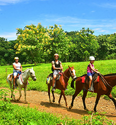 Excursión de Tirolesa + Paseo en Caballo + Caminata a la Cascada en Jaco