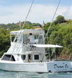 Dream On 33 ft Blackfin 5 Pasajeros