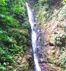 Escalada en las Copas de los árboles & Canyoning en el Bosque Nuboso de Monteverde