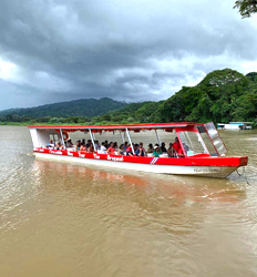 Excursión de Crucero con Cocodrilos en el Río Tárcoles