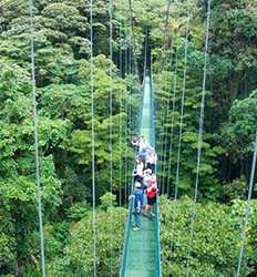 Excursión Privada al Bosque Nuboso Monteverde (Servicio de Chofer Privado)