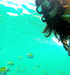 Excursión Privada en Lancha Rápida por Manuel Antonio