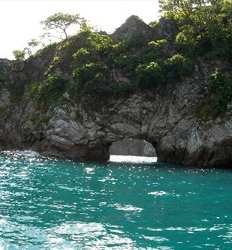 Excursión a la Isla Tortuga & Una Noche en Monteverde Desde Jaco