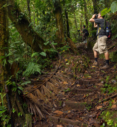 Expedición al Bosque Eterno de los Niños