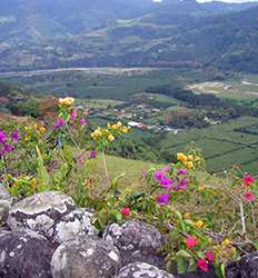 Jardines Lankester & Valle Orosi