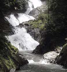 Excursión de Exploración en las Cascadas