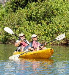 Excursión de Kayak por los Manglares