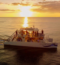 Excursión de Medio Día a Isla Tortuga + Catamarán al Atardecer