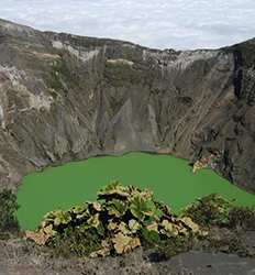 Café Doka + Excursión de Medio Día al Volcán Poás