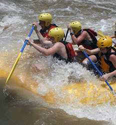 Excursión de Rafting en el Río Coto Brus (Clase III & IV)