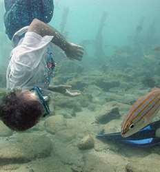 Excursión de Snorkel & Exploración en la Playa