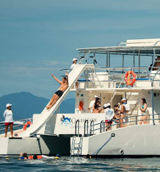 Excursión de Snorkel Exprés en Jacó