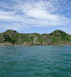 Excursión de Snorkel Express en Marino Ballena