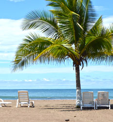 Excursión de Un Día a Playa Jacó