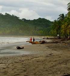 Excursión de un Día: Lo mejor del Pacífico