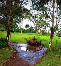 Excursión Todo Terreno por el Rio & Granja La Guaria