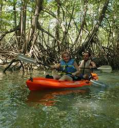 Excursión en Kayak por los Manglares en Isla Damas