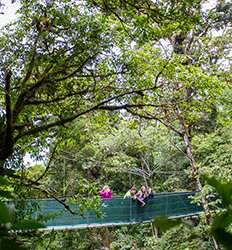 Excursión en Teleférico & Puentes Colgantes en Monteverde