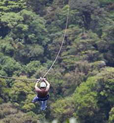Excursión en Teleférico, Tirolesa Sky Trek & Puentes Colgantes en Monteverde