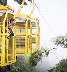 Excursión en Teleférico por el Bosque Nuboso de Monteverde & Puentes Colgantes