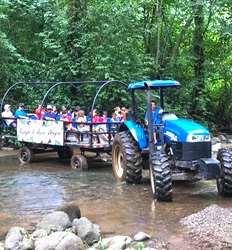 Excursión en Vagón a la Reserva Ecológica Villas Lapas + Paseo en Río Tárcoles