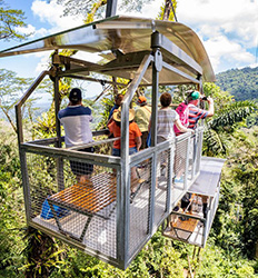 Excursión en el Bosque Lluvioso de Veragua + Teleférico