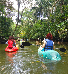 Excursión en el Río & Kayak en el Mar de Punta Uva