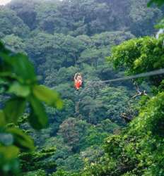 Experiencia en el Bosque Nuboso de Monteverde